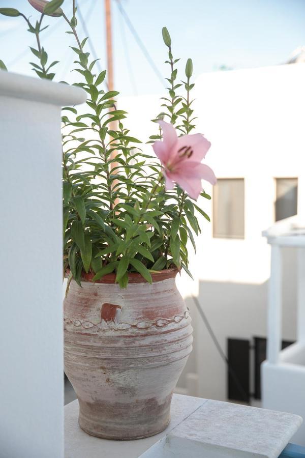 Green Loft Room In Naxos Chora Naxos City 외부 사진